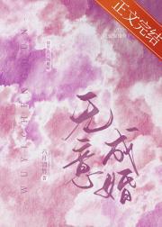 无意成婚封面