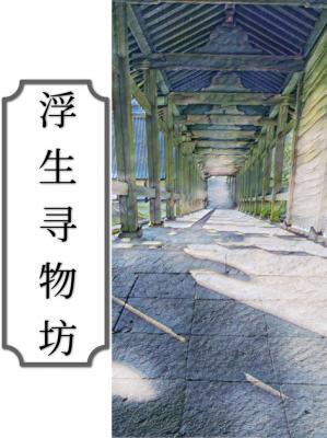 浮生寻物坊封面