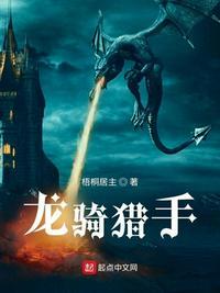 龙骑猎手封面