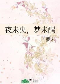夜未央,梦未醒封面