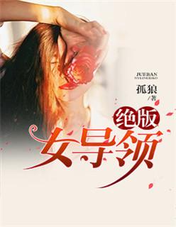 绝版女领导封面