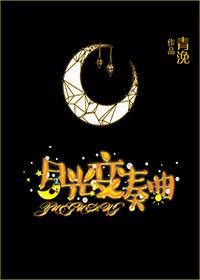 月光变奏曲封面