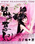 替身孽妃封面