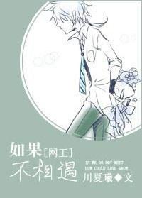如果不相遇封面
