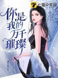 你是我的万千璀璨封面