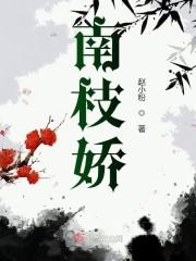 南枝娇封面