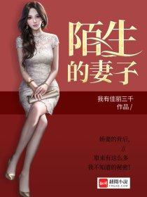 陌生的妻子封面