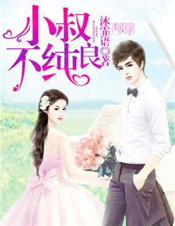 小叔不纯良封面