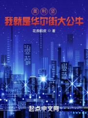 美利坚：我就是华尔街大公牛封面