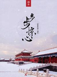 步步惊心封面