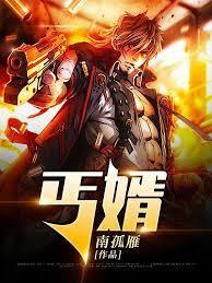丐婿封面