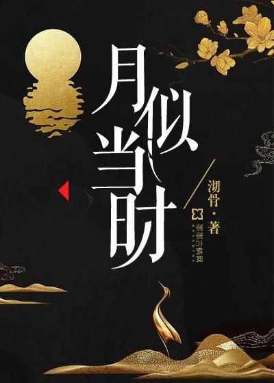 月似当时封面