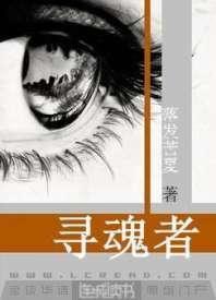 寻魂者封面