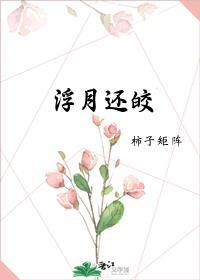浮月还皎封面