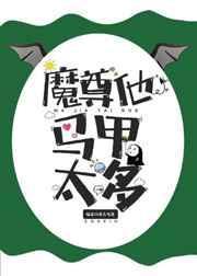 魔尊他马甲太多封面