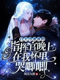 白天冷冰冰的指挥官晚上在我怀里哭唧唧封面