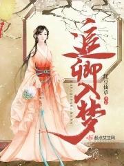 追卿入梦封面