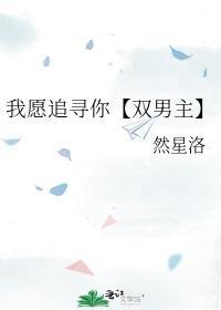 我愿追寻你【双男主】封面
