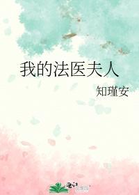 我的法医夫人封面