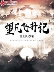 望凡飞升记封面