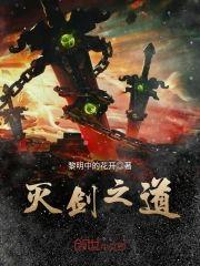 灭剑之道封面