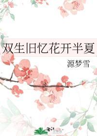双生旧忆花开半夏封面