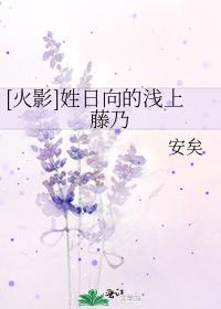 [火影]姓日向的浅上藤乃封面