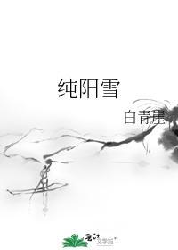 纯阳雪封面