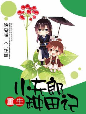 重生小夫郎种田记封面
