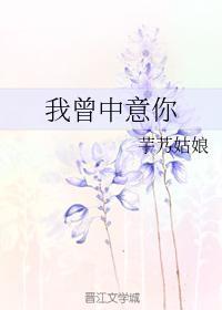 我曾中意你封面
