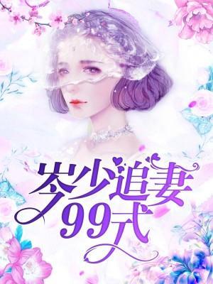 岑少追妻99式封面