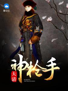 大清神枪手封面