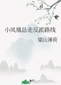小凤凰总走反派路线封面