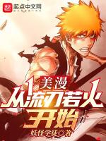 美漫从斩魄刀开始封面