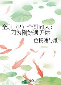 全职（2）伞哥同人：因为刚好遇见你封面