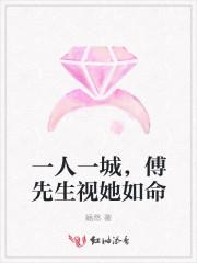 一人一城，傅先生视她如命封面