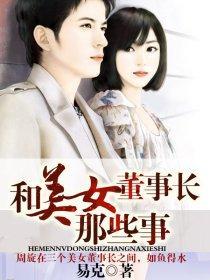 和美女董事长那些事封面