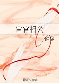 宦官相公封面