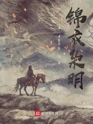 锦衣枭明封面