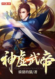 神虚武帝封面