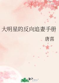 大明星的反向追妻手册封面
