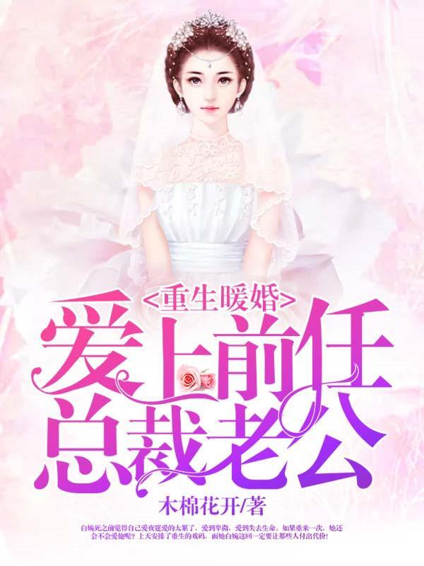 重生暖婚：爱上前任总裁老公封面