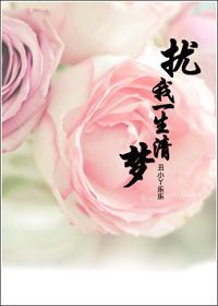 扰我一生清梦封面