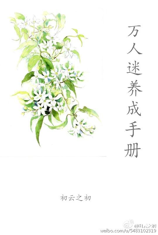（系统）万人迷养成手册封面