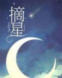 摘星封面