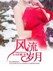 风流岁月封面