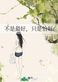 不是最好，只是恰好封面
