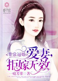 非常逼婚：爱妻，拒嫁无效封面