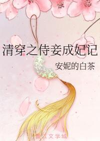 清穿之侍妾成妃记封面