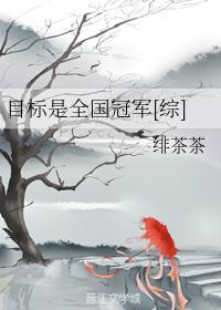 目标是全国冠军[综]封面